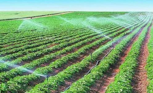 看大鸡巴操逼第一集农田高 效节水灌溉